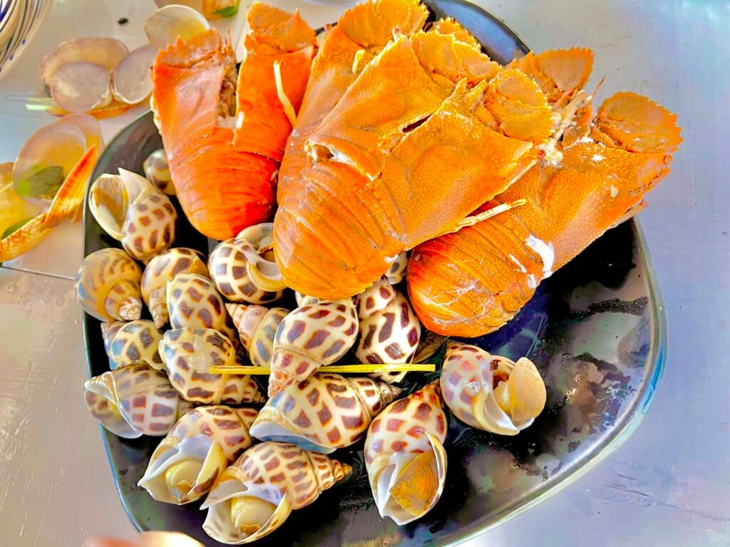 Đĩa tôm hùm và ốc biển tươi