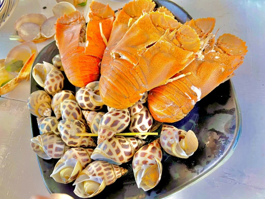 Platter of fresh lobster and sea snails