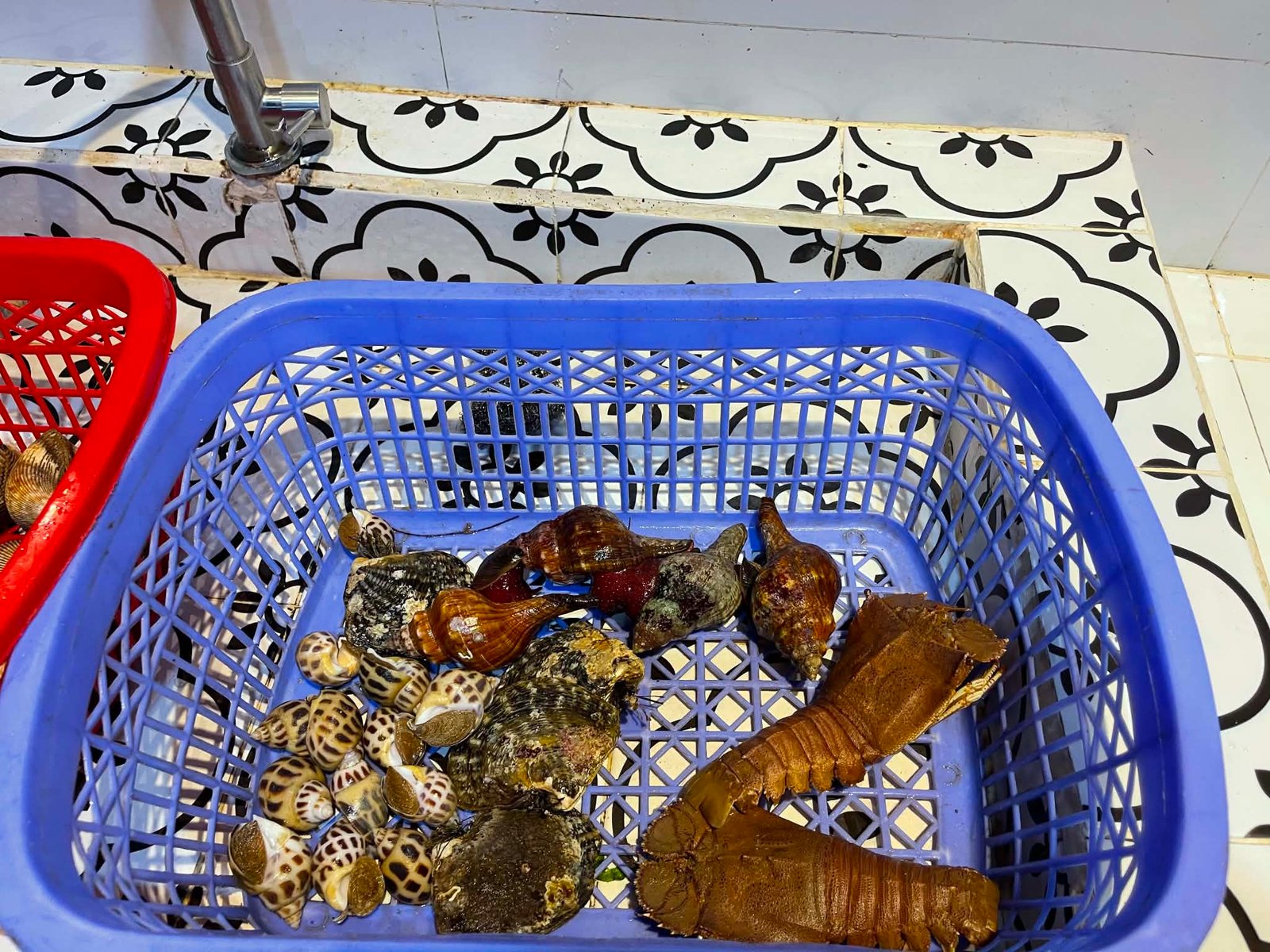 The Kim Anh Restaurant seafood journal — coastal food stories and guides from Ca Na